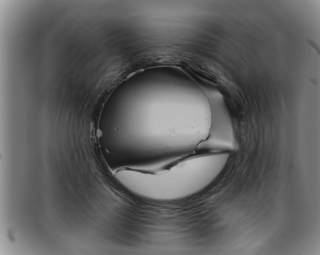 X0000096400748200801311350