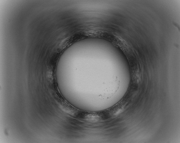 X0000096400749200801311350