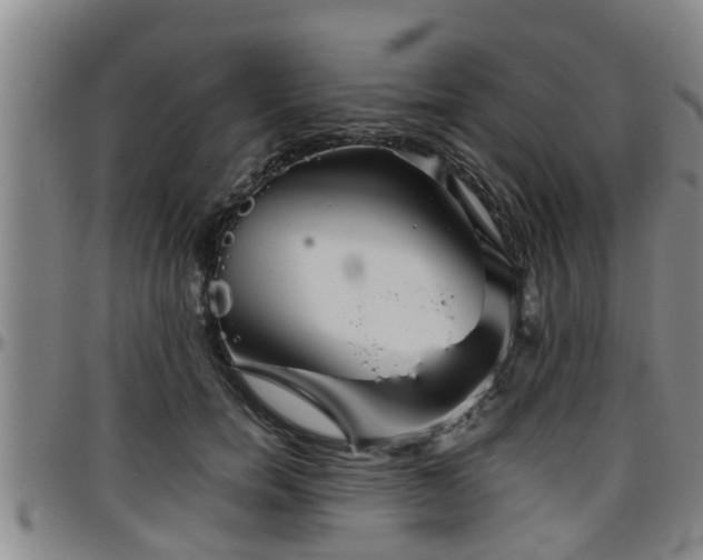 X0000096400750200801311350