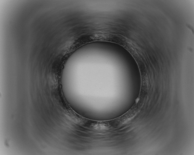 X0000096400751200801311350