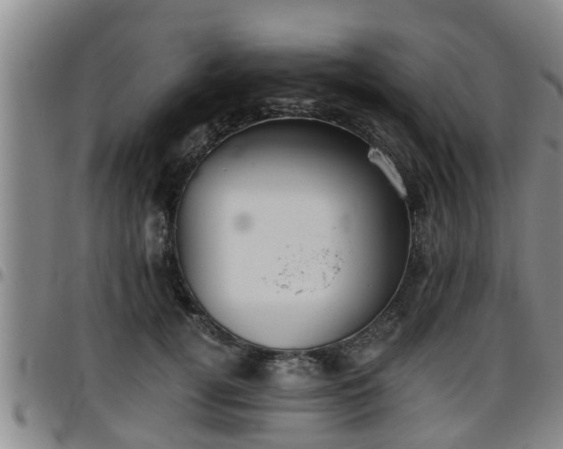 X0000096400752200801311350