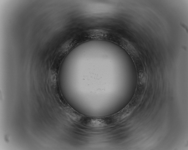 X0000096400753200801311350