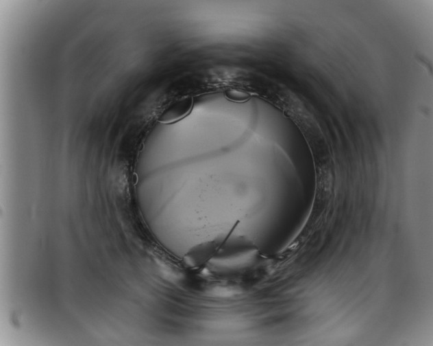 X0000096400754200801311350