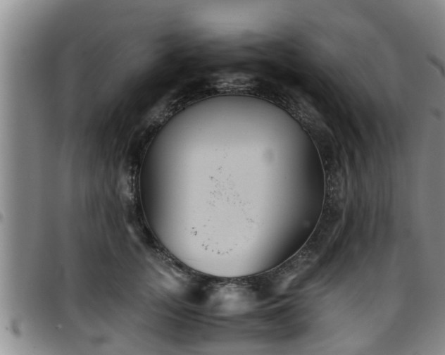 X0000096400755200801311350