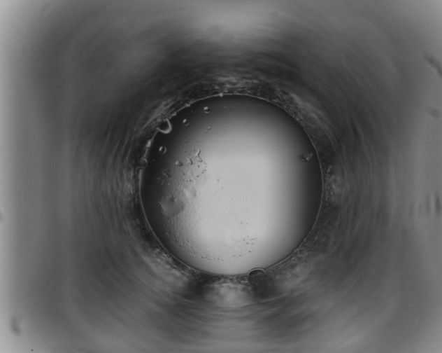 X0000096400756200801311350