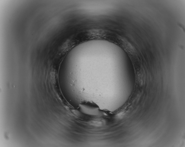 X0000096400757200801311350