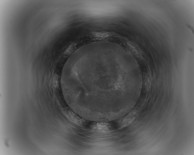 X0000096400758200801311350