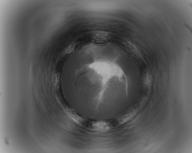 X0000096400759200801311350