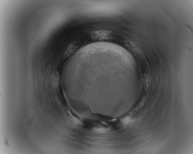 X0000096400760200801311350