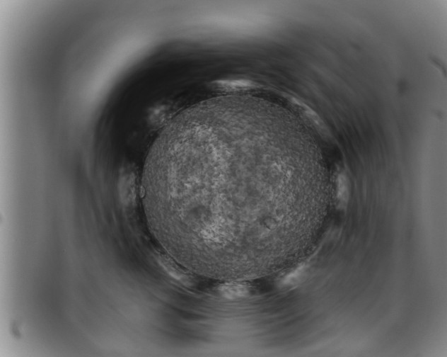 X0000096400762200801311350