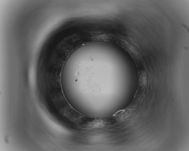 X0000096400764200801311350