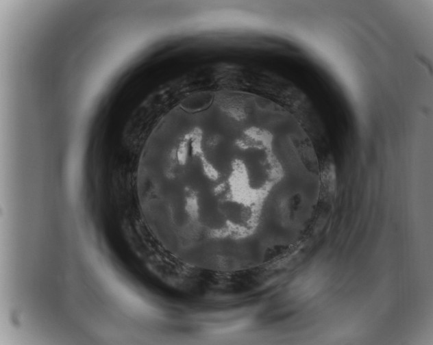 X0000096400765200801311350