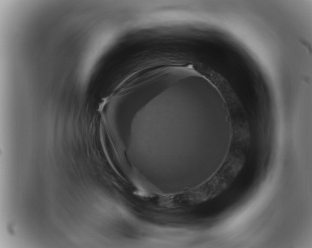 X0000096400766200801311350