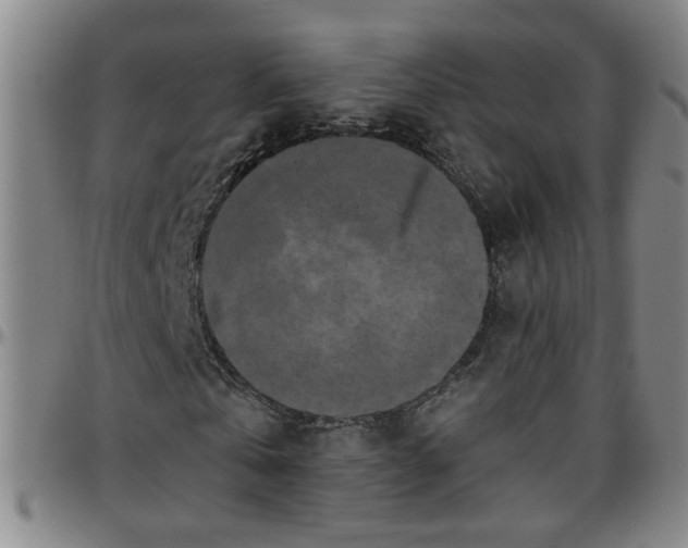 X0000096400769200801311350