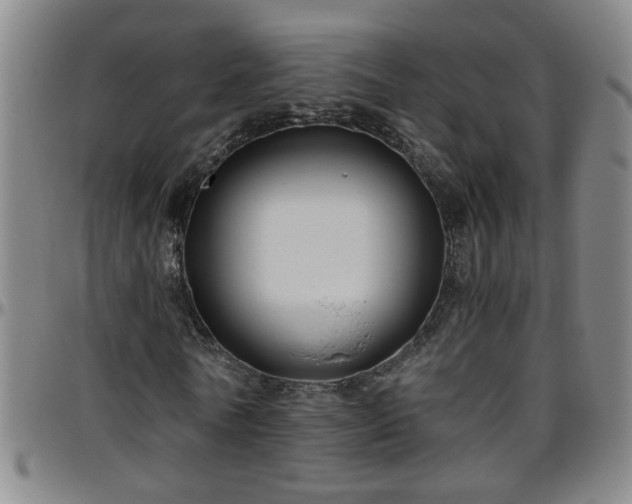 X0000096400770200801311350