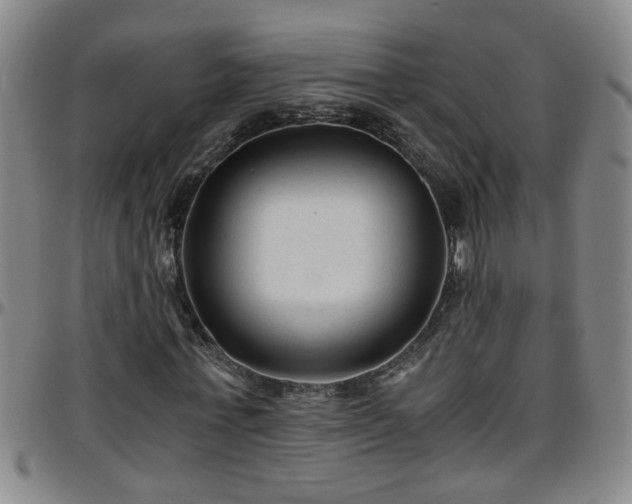 X0000096400771200801311350