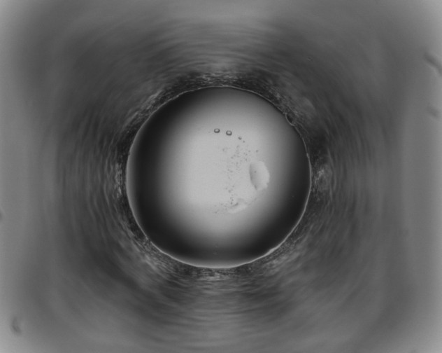 X0000096400772200801311350