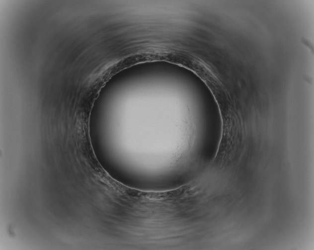 X0000096400773200801311350