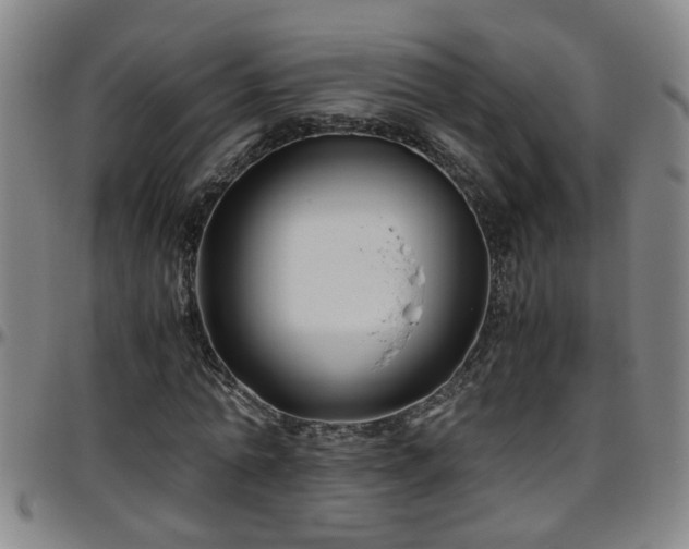 X0000096400774200801311350