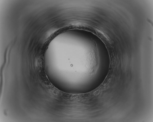 X0000096400776200801311350