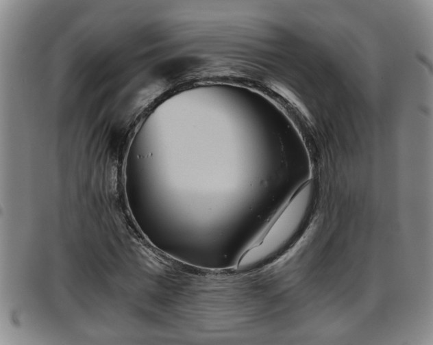 X0000096400777200801311350