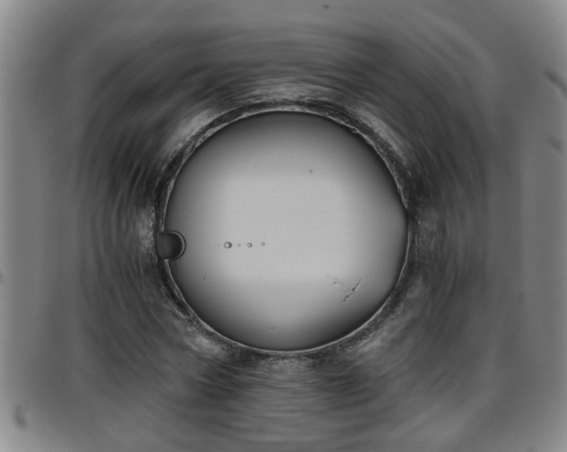 X0000096400778200801311350