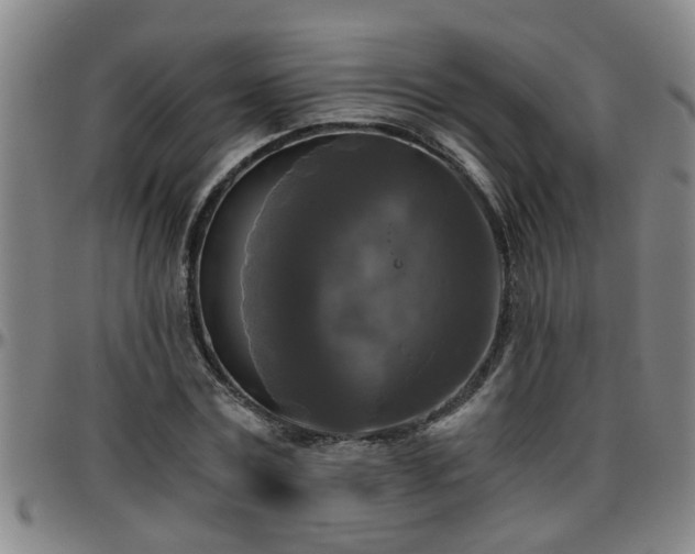 X0000096400779200801311350