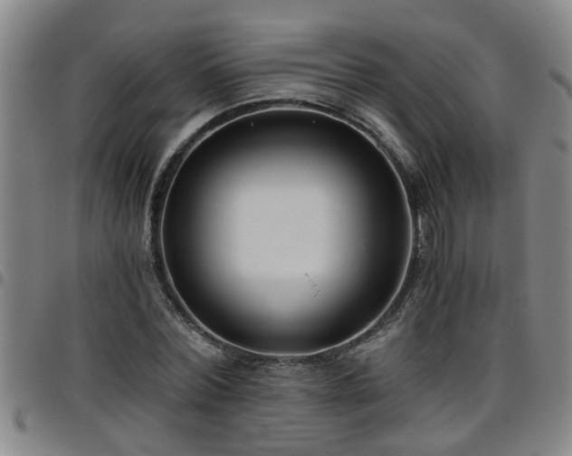 X0000096400780200801311350