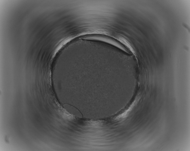 X0000096400781200801311350