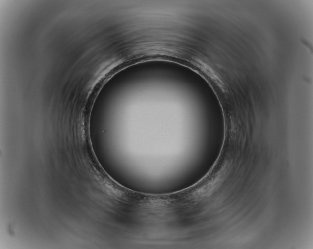 X0000096400782200801311350