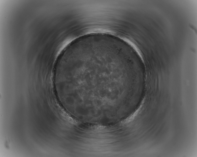 X0000096400783200801311350