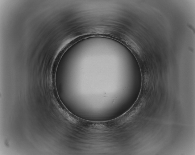 X0000096400784200801311350