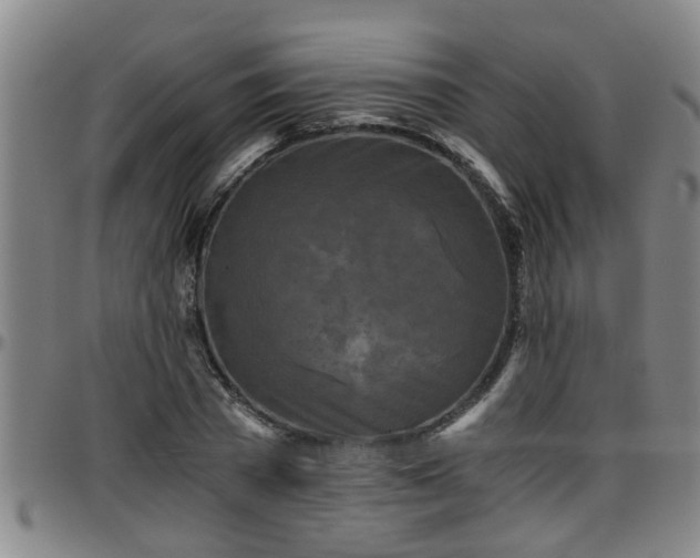 X0000096400785200801311350