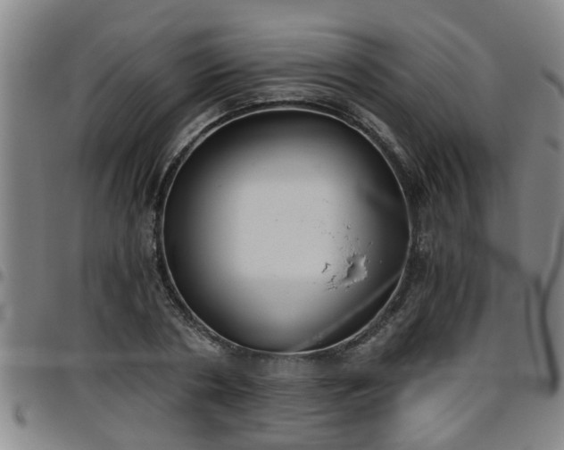 X0000096400786200801311350