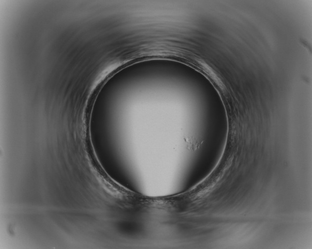 X0000096400787200801311350