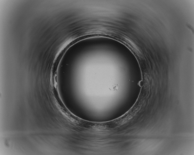 X0000096400788200801311350