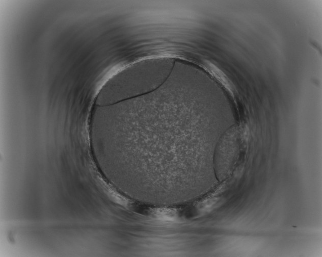 X0000096400789200801311350