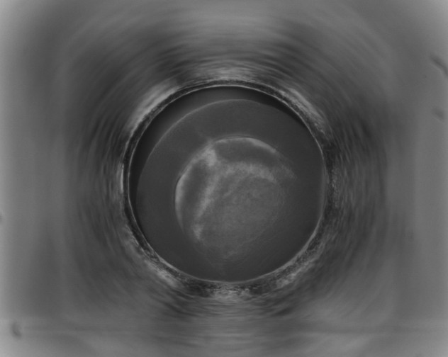 X0000096400790200801311349