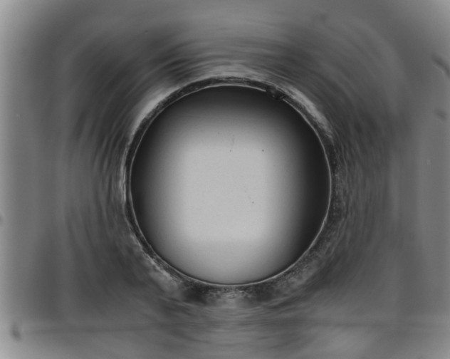 X0000096400791200801311349