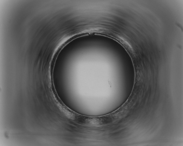 X0000096400792200801311349