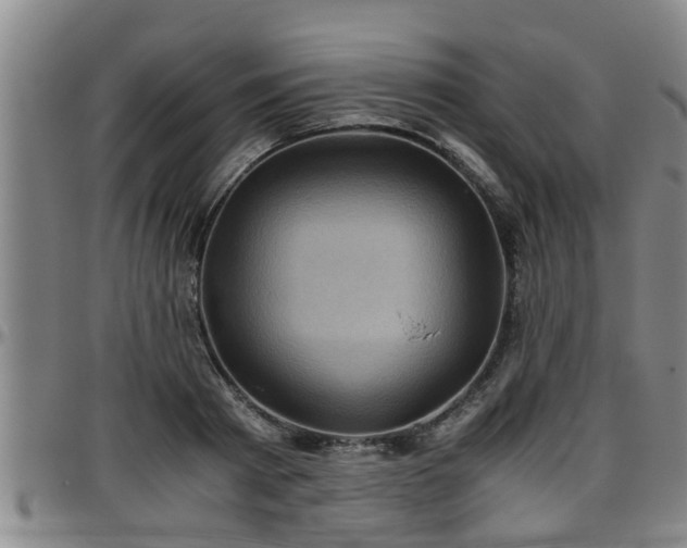 X0000096400793200801311349