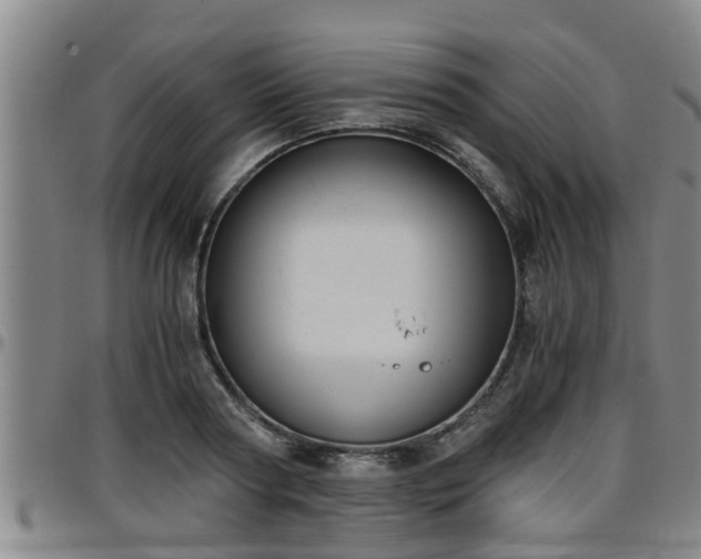 X0000096400794200801311349