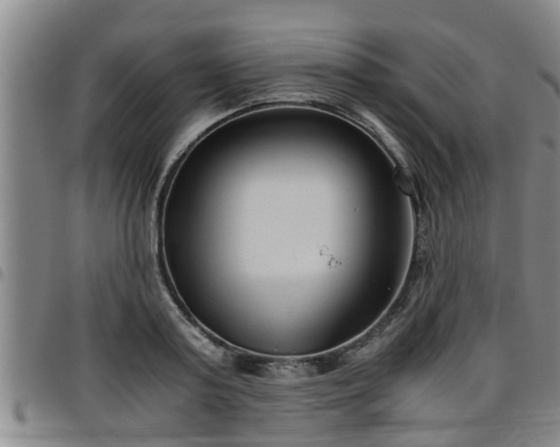 X0000096400795200801311349