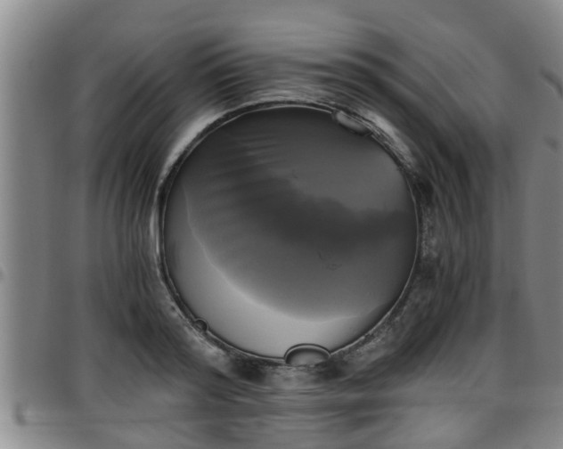 X0000096400796200801311349