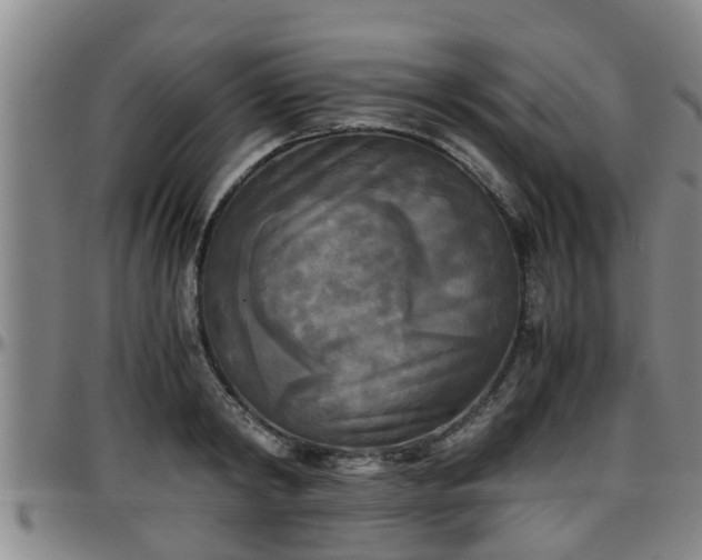 X0000096400798200801311349