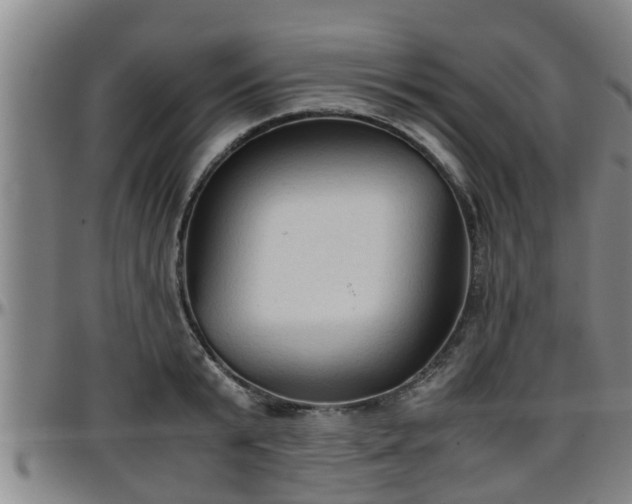 X0000096400799200801311349