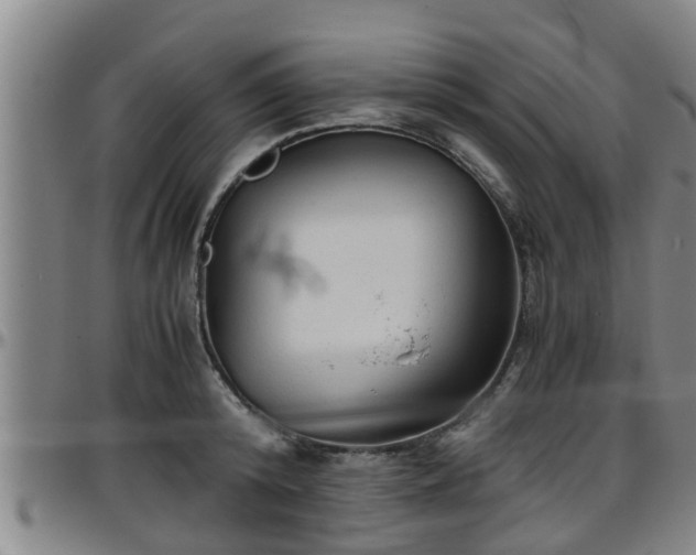 X0000096400800200801311349