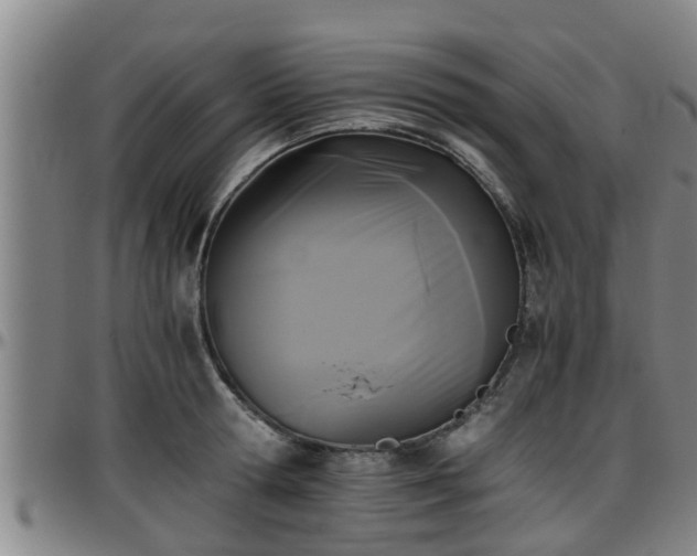 X0000096400802200801311349