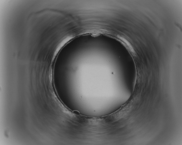 X0000096400804200801311349