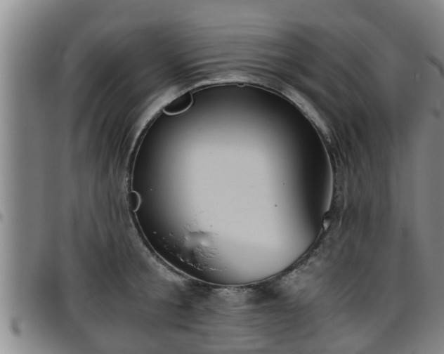 X0000096400805200801311349